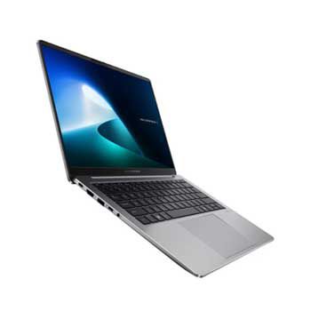 ASUS ExpertBook P5405CSA-NZ0442WS (Xám)