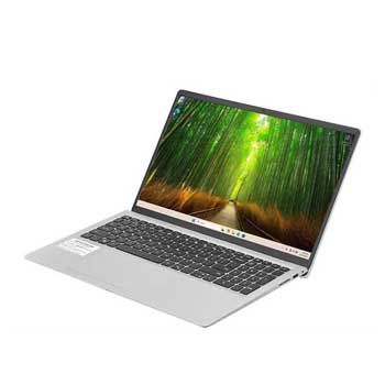 Dell 15 DC15250 - 71092480 (Bạc)